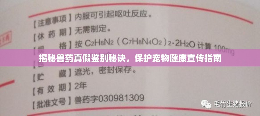 揭秘兽药真假鉴别秘诀,保护宠物健康宣传指南