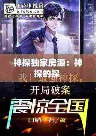 神探独家房源：神探的探 