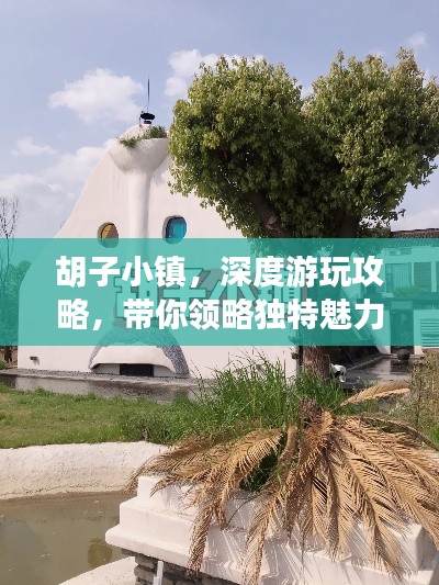 胡子小镇,深度游玩攻略,带你领略独特魅力!