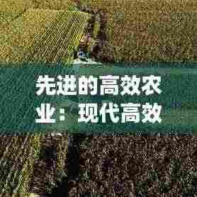 先进的高效农业:现代高效农业