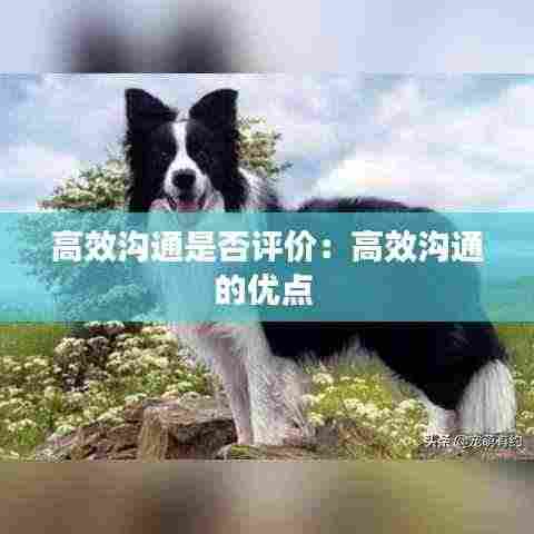 高效沟通是否评价:高效沟通的优点