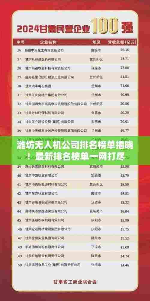 潍坊无人机公司排名榜单揭晓！最新排名榜单一网打尽