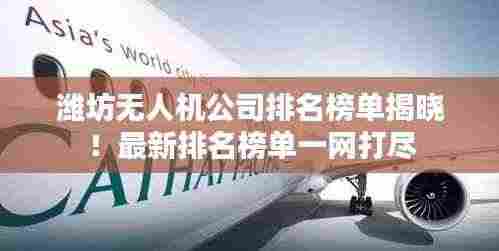 潍坊无人机公司排名榜单揭晓!最新排名榜单一网打尽