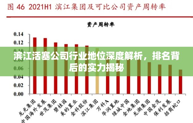 滨江活塞公司行业地位深度解析,排名背后的实力揭秘