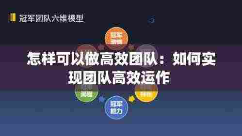 怎样可以做高效团队:如何实现团队高效运作