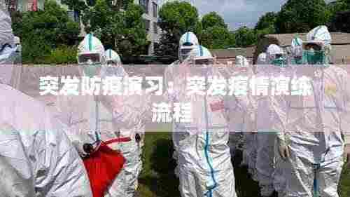 突发防疫演习：突发疫情演练流程 