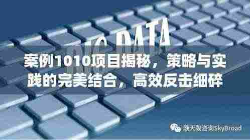 案例1010项目揭秘，策略与实践的完美结合，高效反击细碎挑战