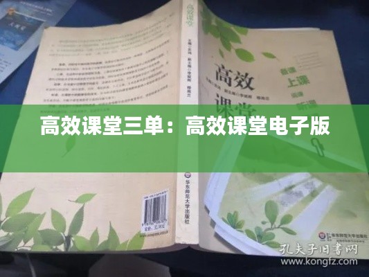 高效课堂三单：高效课堂电子版 