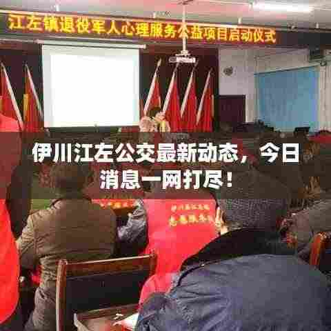 伊川江左公交最新动态，今日消息一网打尽！