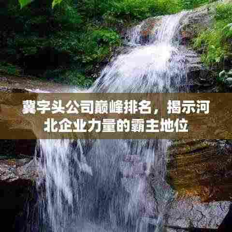 冀字头公司巅峰排名,揭示河北企业力量的霸主地位
