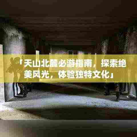 「天山北麓必游指南,探索绝美风光,体验独特文化」