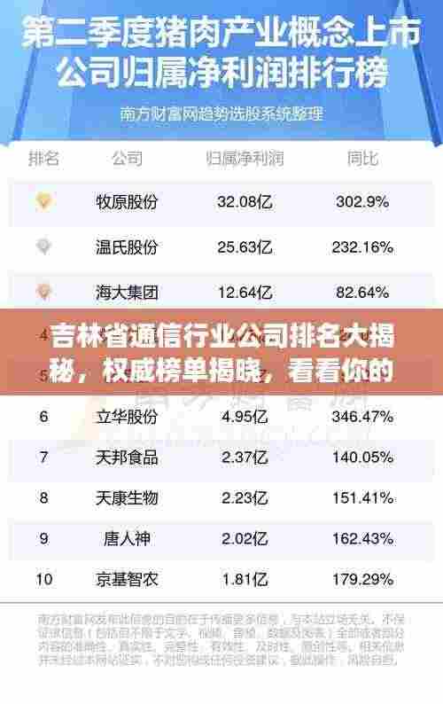 吉林省通信行业公司排名大揭秘,权威榜单揭晓,看看你的企业上榜了吗?