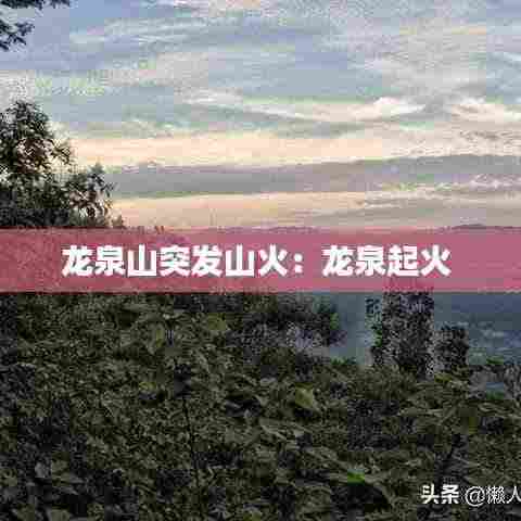 龙泉山突发山火:龙泉起火