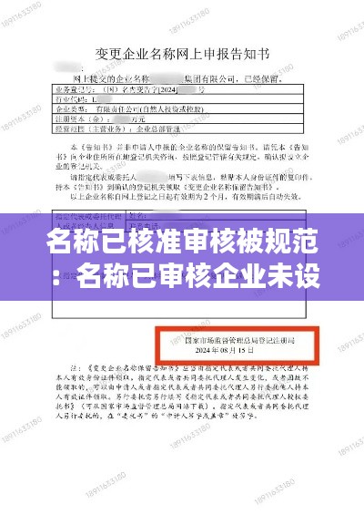 名称已核准审核被规范:名称已审核企业未设立是什么意思