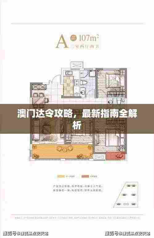 澳门达令攻略,最新指南全解析