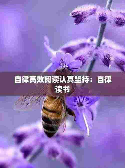 自律高效阅读认真坚持:自律 读书