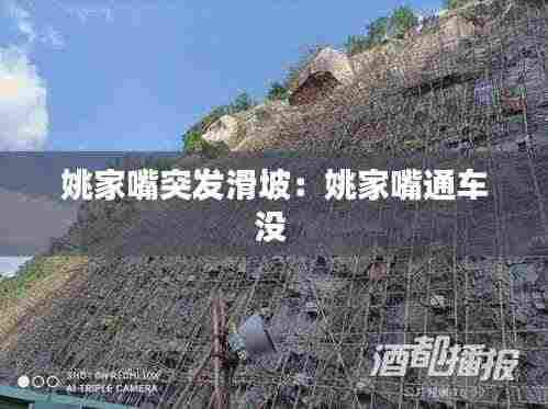 姚家嘴突发滑坡：姚家嘴通车没 