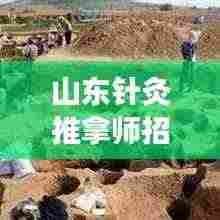 山东针灸推拿师招聘网更新职位,寻找专业人才的您不容错过