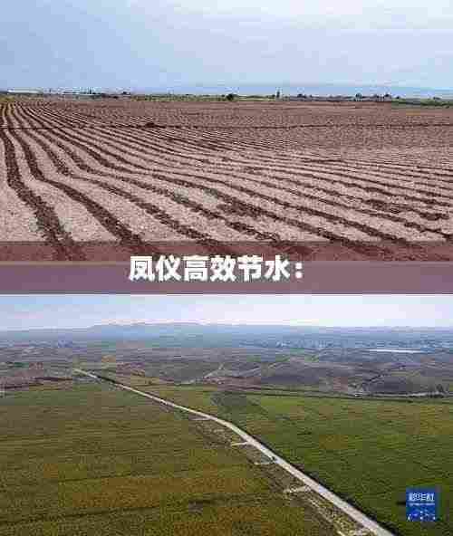 凤仪高效节水: