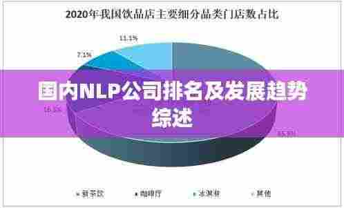 国内NLP公司排名及发展趋势综述