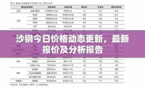 沙钢今日价格动态更新，最新报价及分析报告