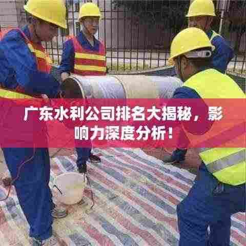广东水利公司排名大揭秘，影响力深度分析！