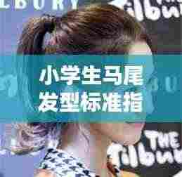 小学生马尾发型标准指南