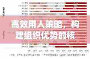 高效用人策略,构建组织优势的核心秘诀