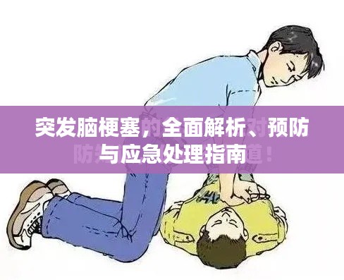 突发脑梗塞,全面解析、预防与应急处理指南