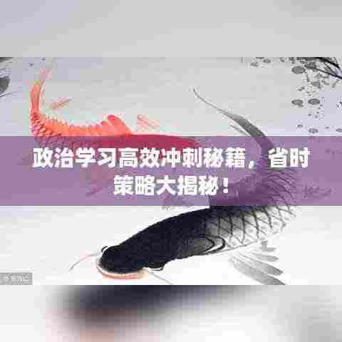 政治学习高效冲刺秘籍,省时策略大揭秘!