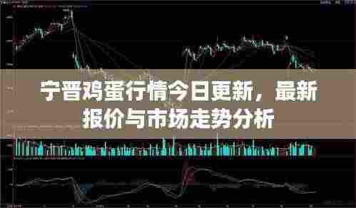 宁晋鸡蛋行情今日更新，最新报价与市场走势分析