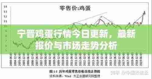 宁晋鸡蛋行情今日更新,最新报价与市场走势分析