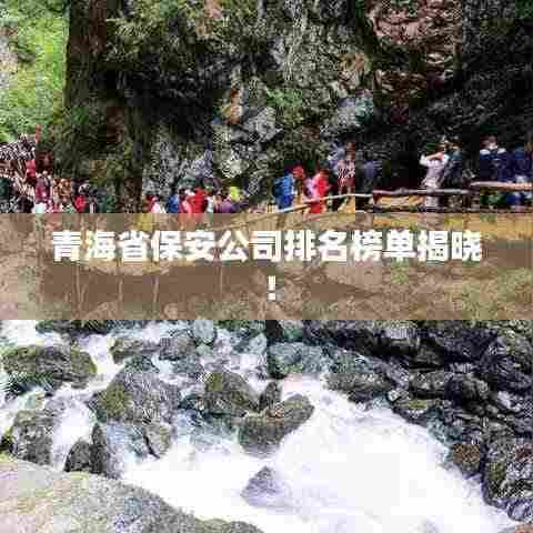 青海省保安公司排名榜单揭晓!