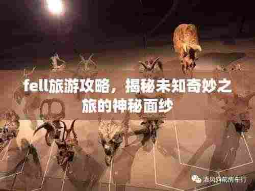 fell旅游攻略,揭秘未知奇妙之旅的神秘面纱