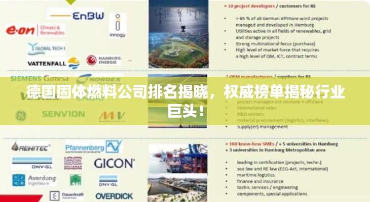 德国固体燃料公司排名揭晓,权威榜单揭秘行业巨头!