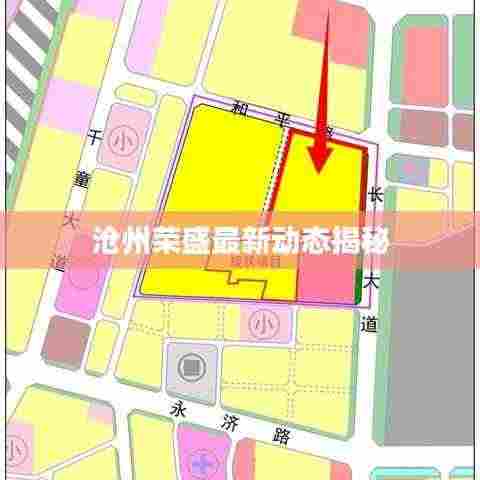 沧州荣盛最新动态揭秘