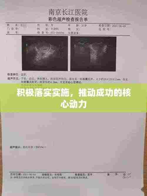 积极落实实施,推动成功的核心动力