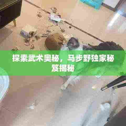 探索武术奥秘,马步野独家秘笈揭秘