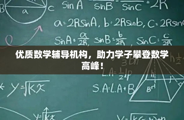 优质数学辅导机构，助力学子攀登数学高峰！