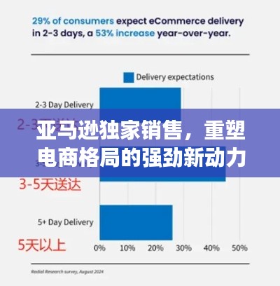 亚马逊独家销售,重塑电商格局的强劲新动力