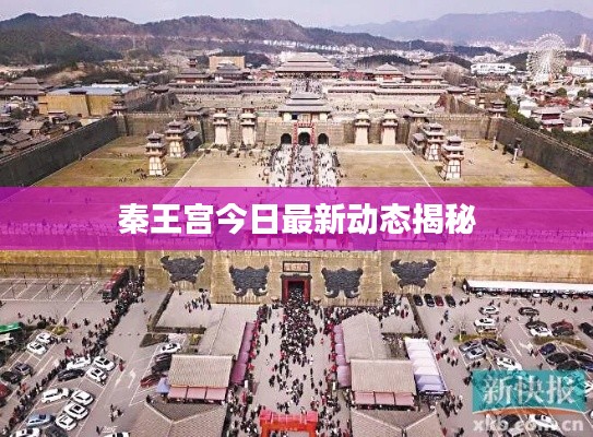 秦王宫今日最新动态揭秘