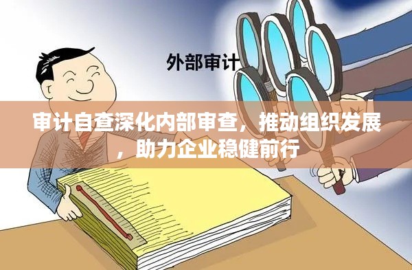 审计自查深化内部审查,推动组织发展,助力企业稳健前行