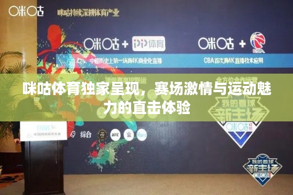 咪咕体育独家呈现,赛场激情与运动魅力的直击体验