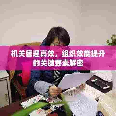 机关管理高效,组织效能提升的关键要素解密