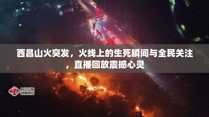 西昌山火突发,火线上的生死瞬间与全民关注,直播回放震撼心灵