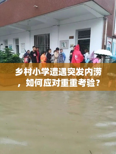 乡村小学遭遇突发内涝,如何应对重重考验?