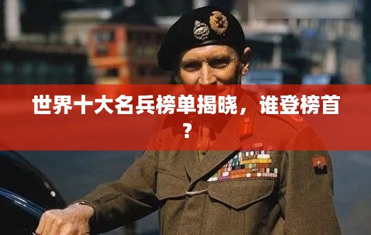 世界十大名兵榜单揭晓,谁登榜首?