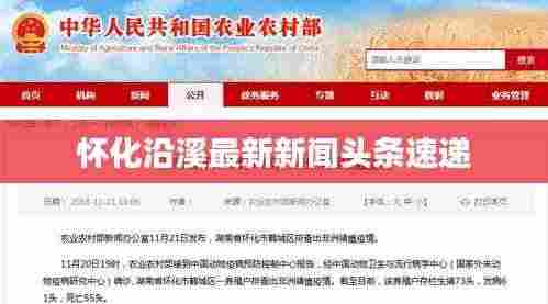 怀化沿溪最新新闻头条速递