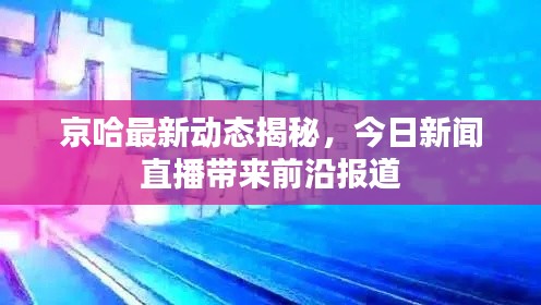 京哈最新动态揭秘,今日新闻直播带来前沿报道
