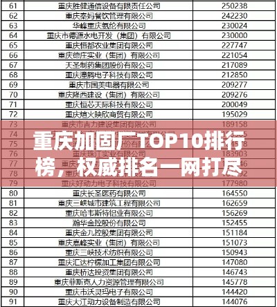 重庆加固厂TOP10排行榜,权威排名一网打尽!